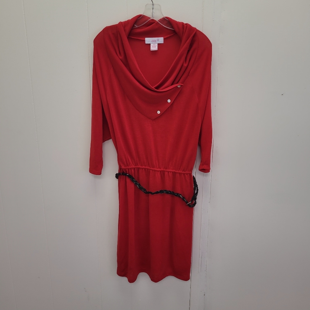 Loop 18 Long Sleeve Cowl Neck Dress